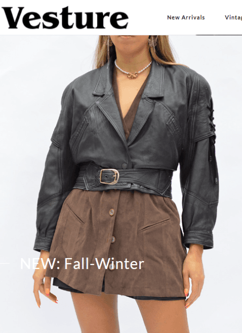 Vesture website image
